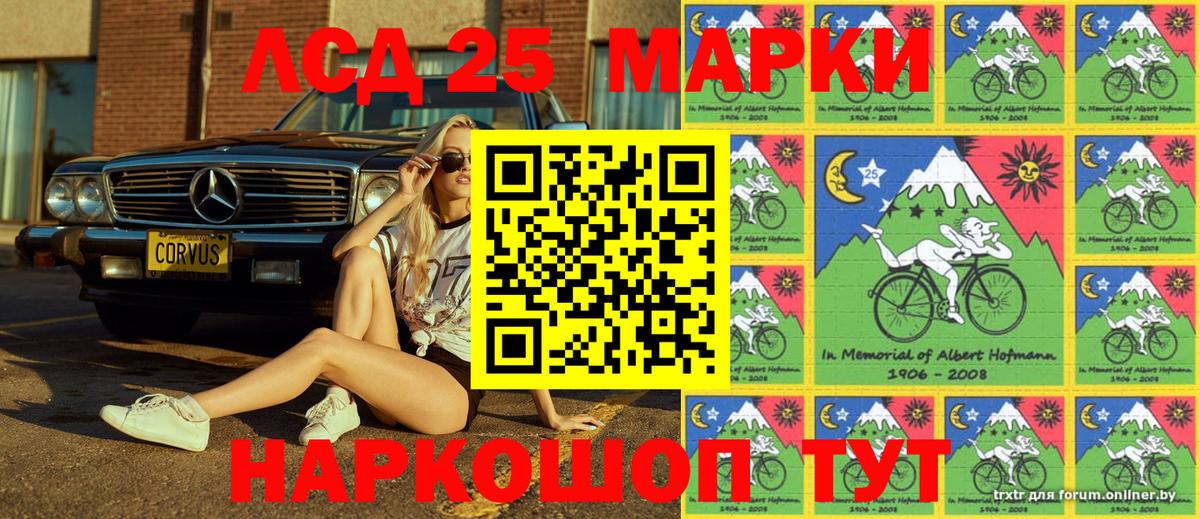 Наркотические марки 1500мкг  Вход с VPN  Аргун  Наркотические марки 1500мкг 
